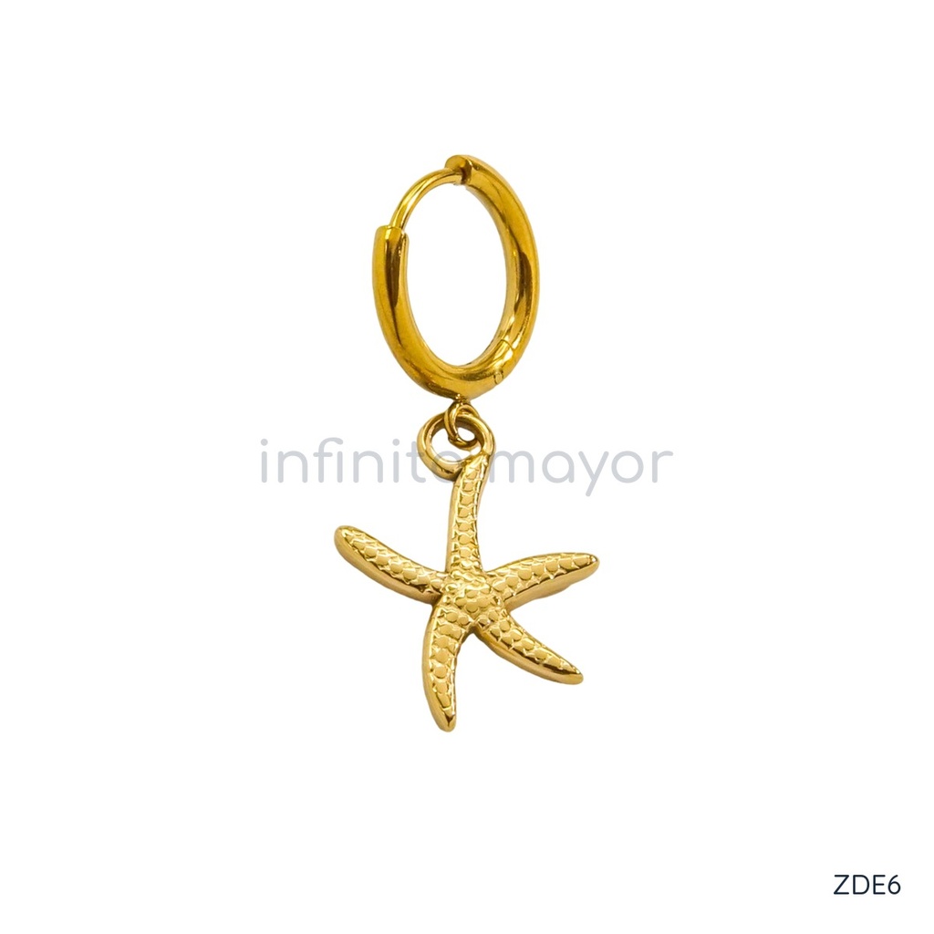 [ZDE6] Aretes con estrella de acero inoxidable 304 con recubrimiento PVD y chapado en oro 14k